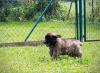 images/T-Wurf/T-Wurf Wo 9/3S8A2901-Bearbeitet.jpg